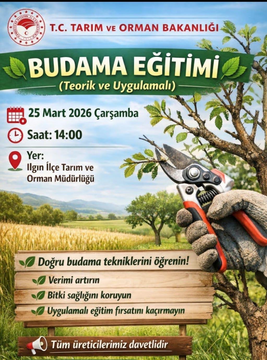 Budama Eğitimi